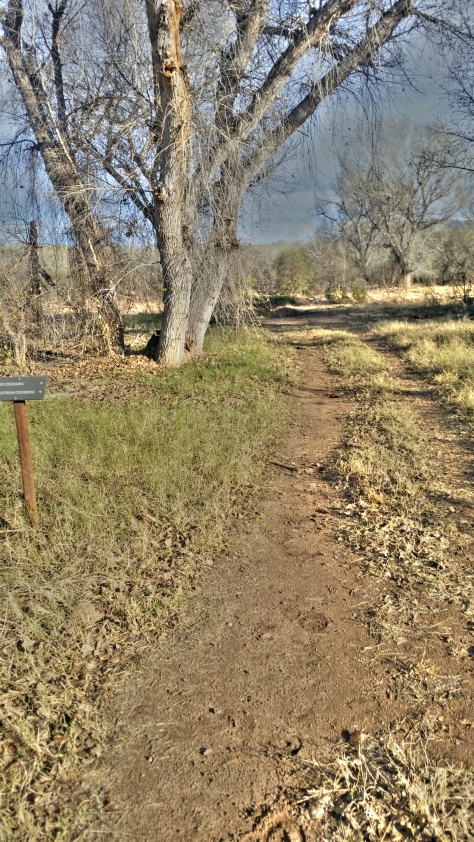 Santa Cruz River Trail