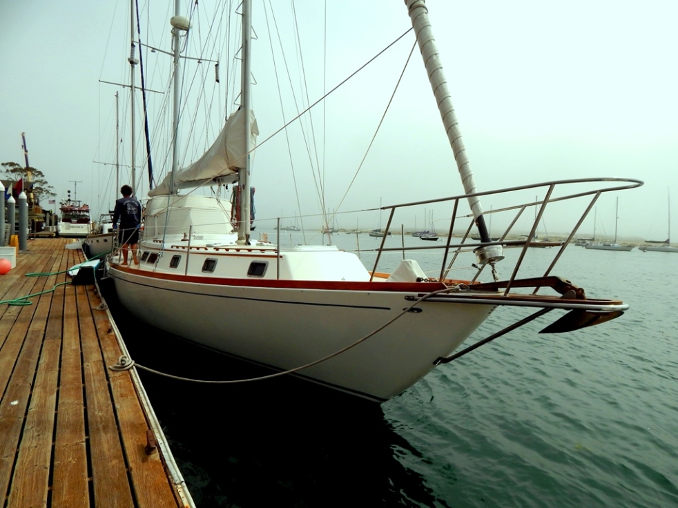 Varley's Gulf Star 50